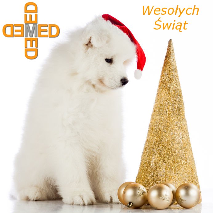 Centrum Stomatologiczne Demed Wesołych Świąt